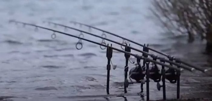 Shimano Tribal TX2 Carp Rod