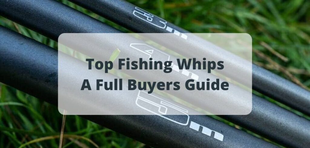 Best Fishing Whips