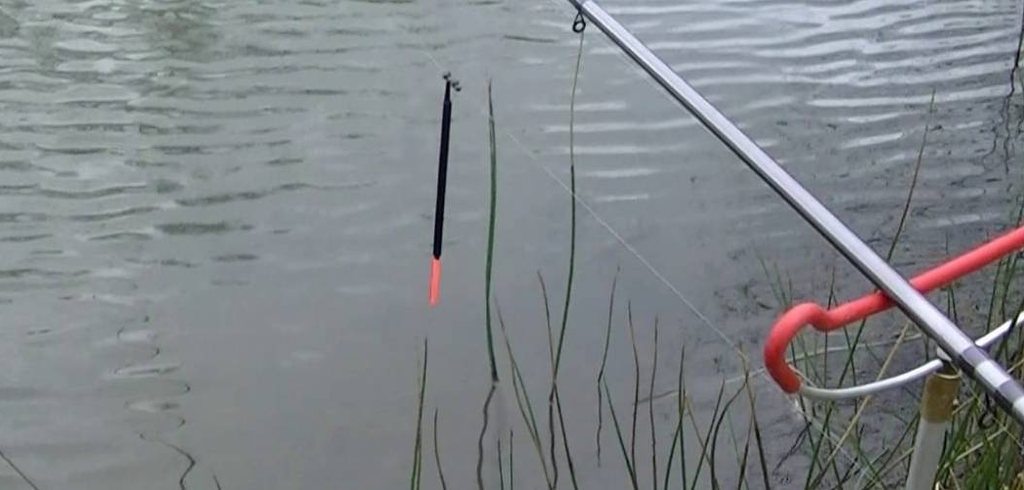 Best Float Fishing Rod
